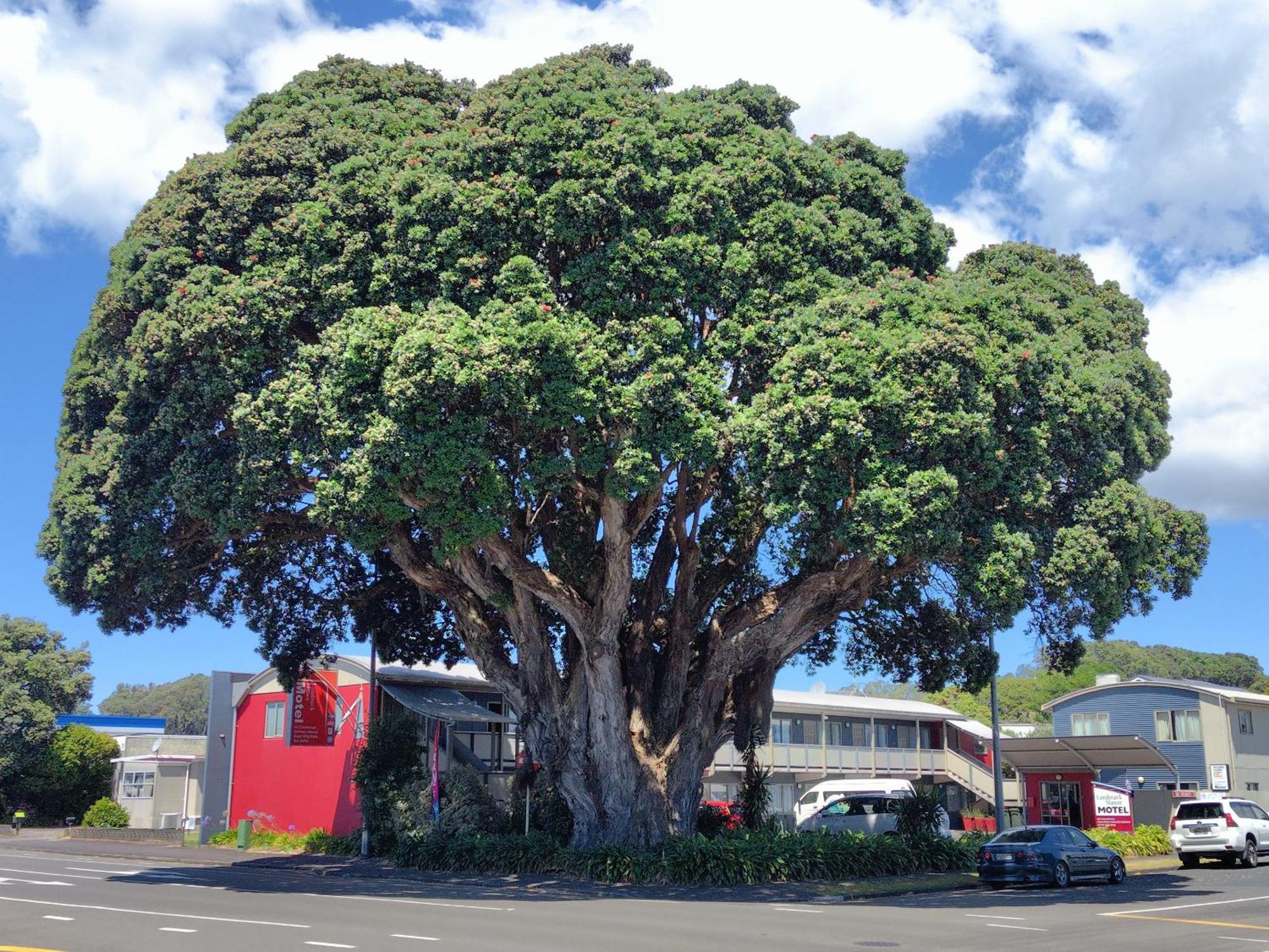 Landmark Manor New Plymouth Zewnętrze zdjęcie